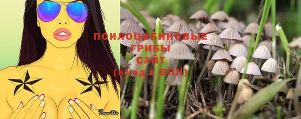 a pvp Баксан