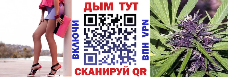 Бошки марихуана план  наркошоп  Саянск 